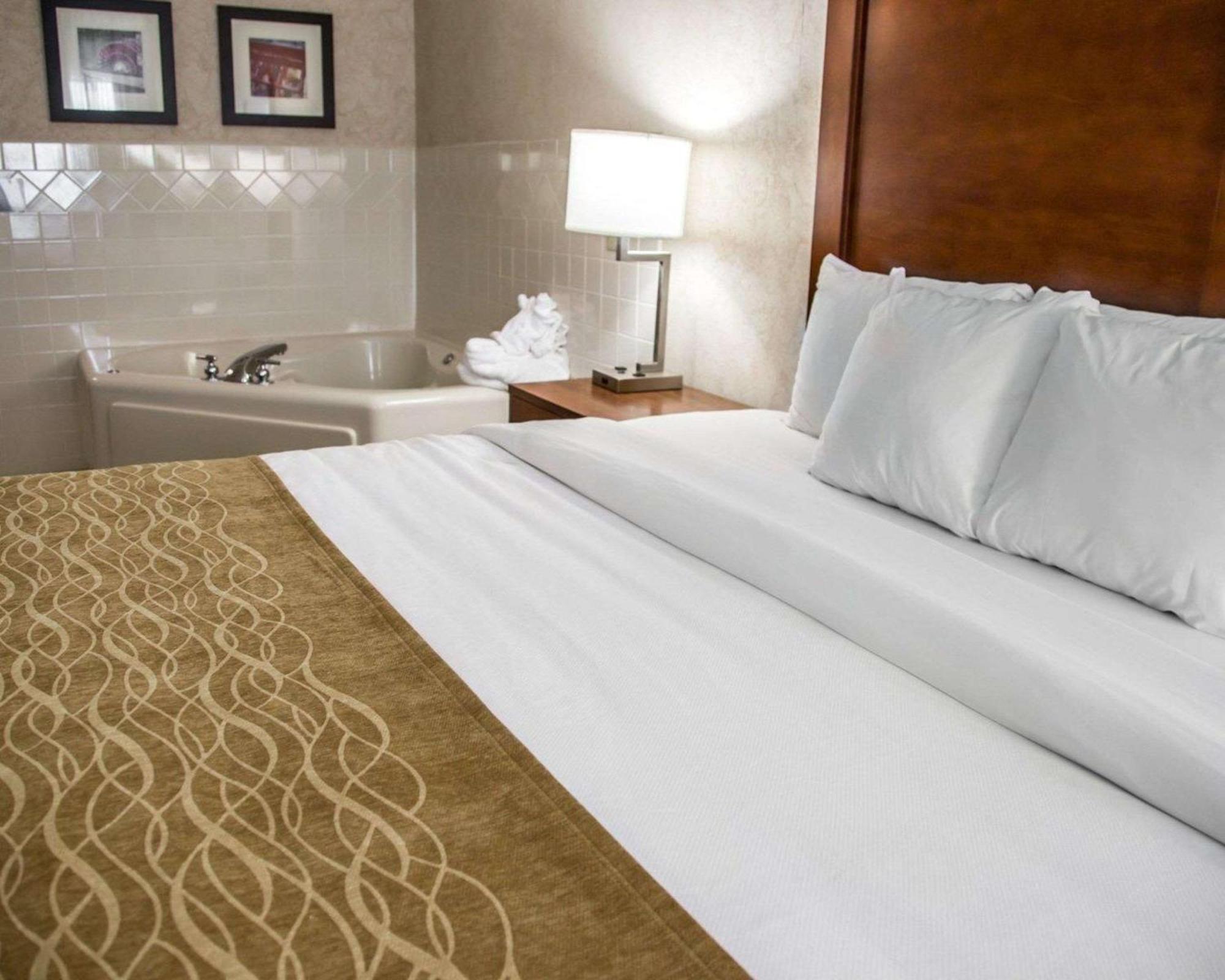 Comfort Inn & Suites Riverview Near Davenport And I-80 Le Claire Εξωτερικό φωτογραφία