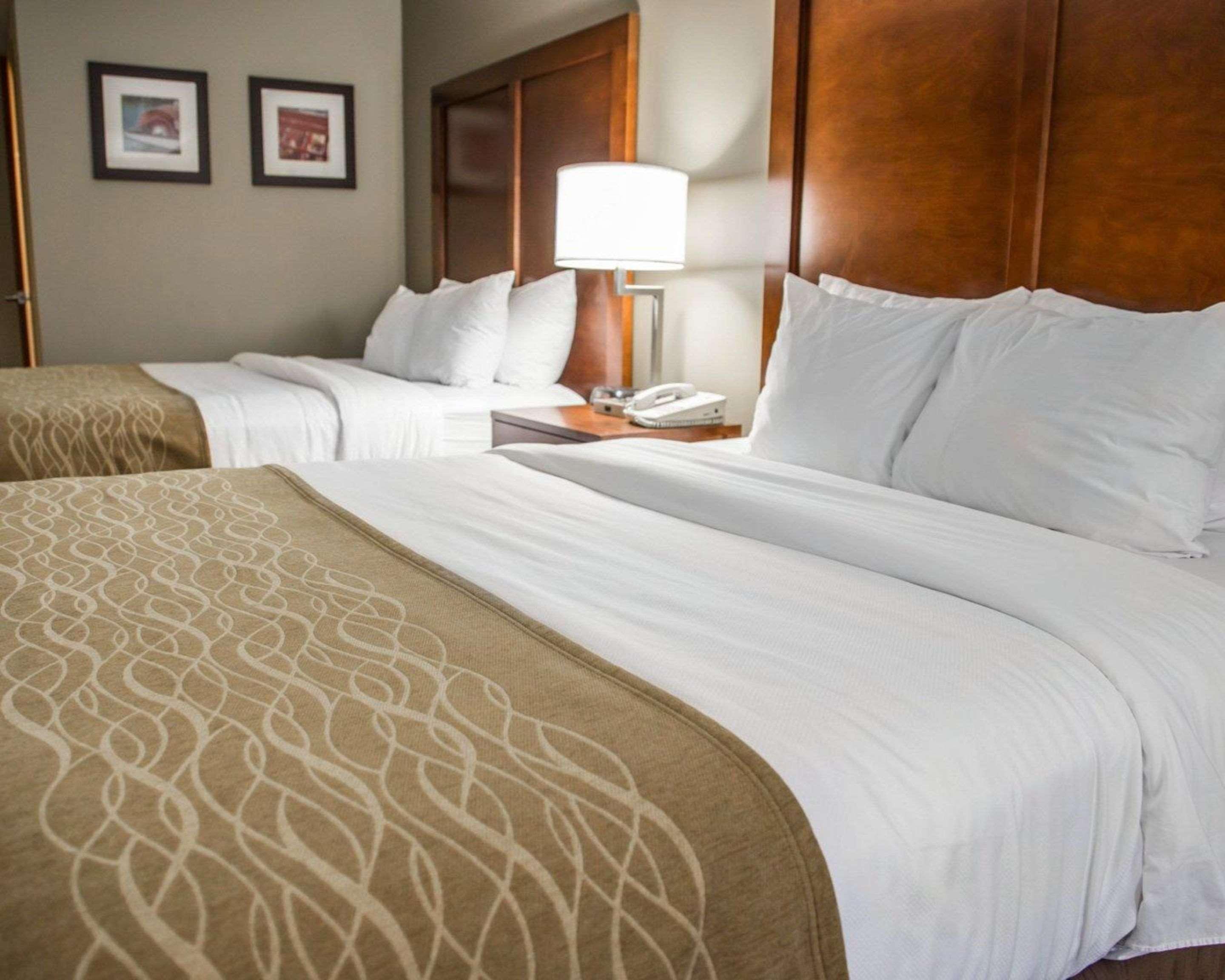 Comfort Inn & Suites Riverview Near Davenport And I-80 Le Claire Εξωτερικό φωτογραφία